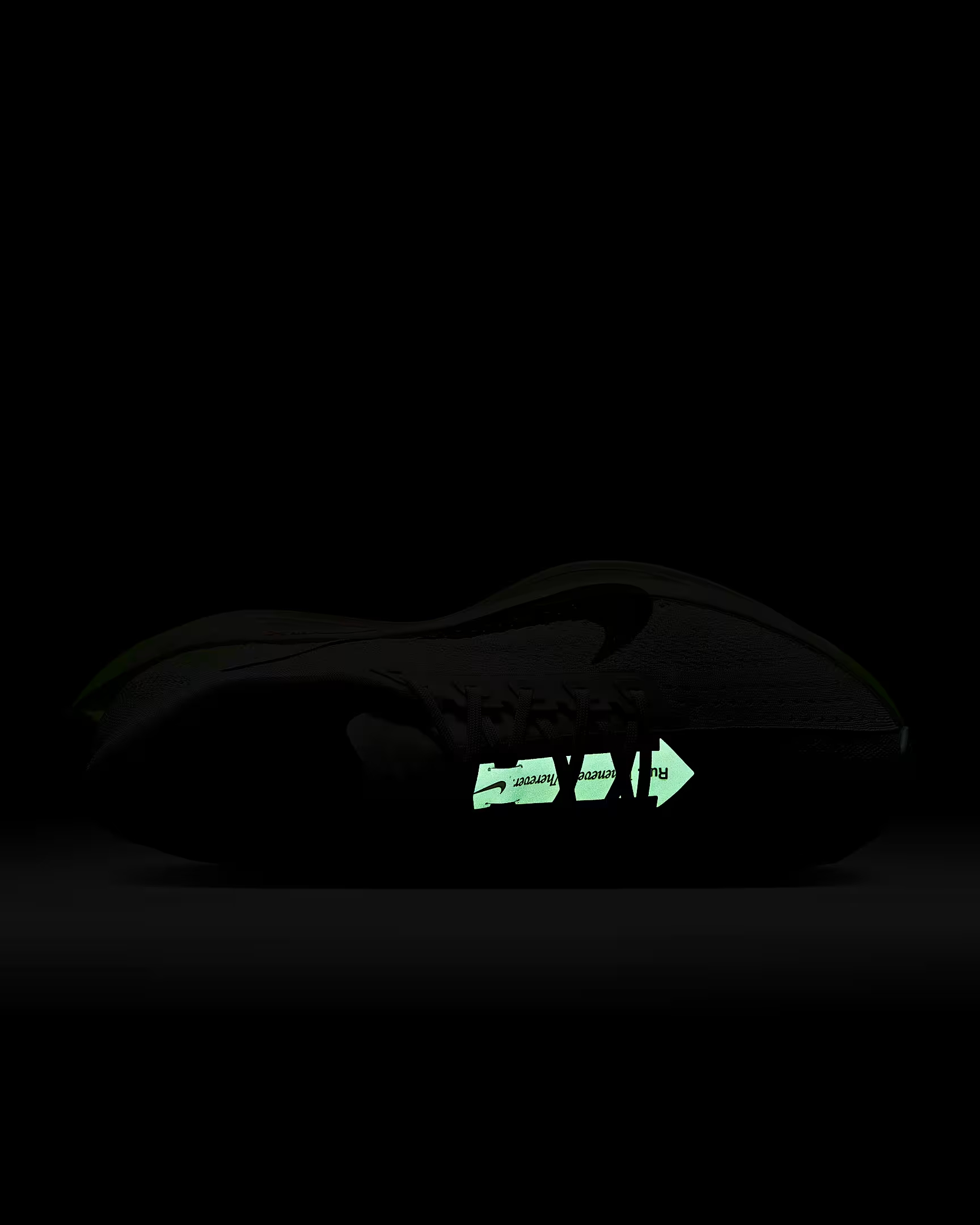 Nike Pegasus Plus - Image 9