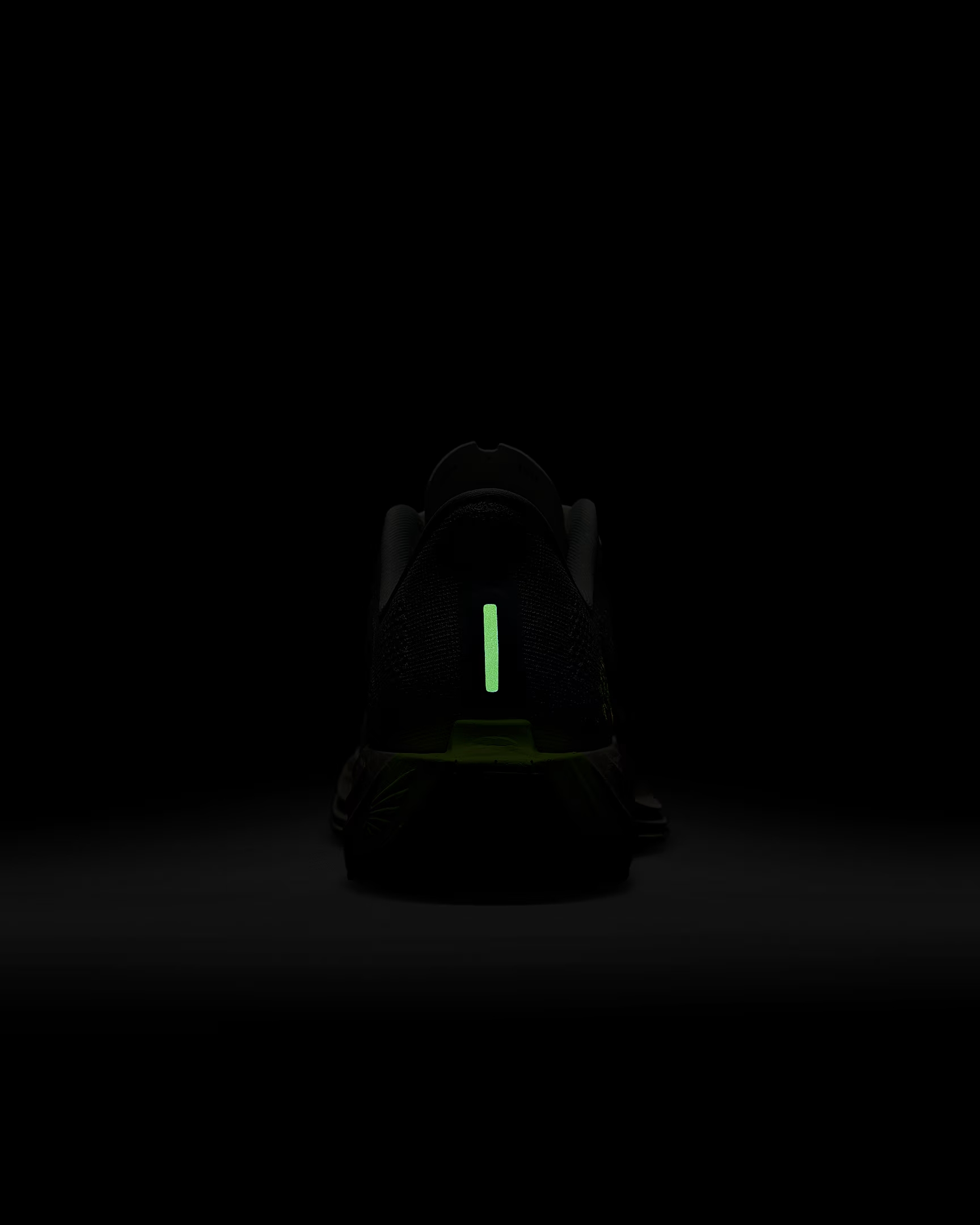 Nike Pegasus Plus - Image 10