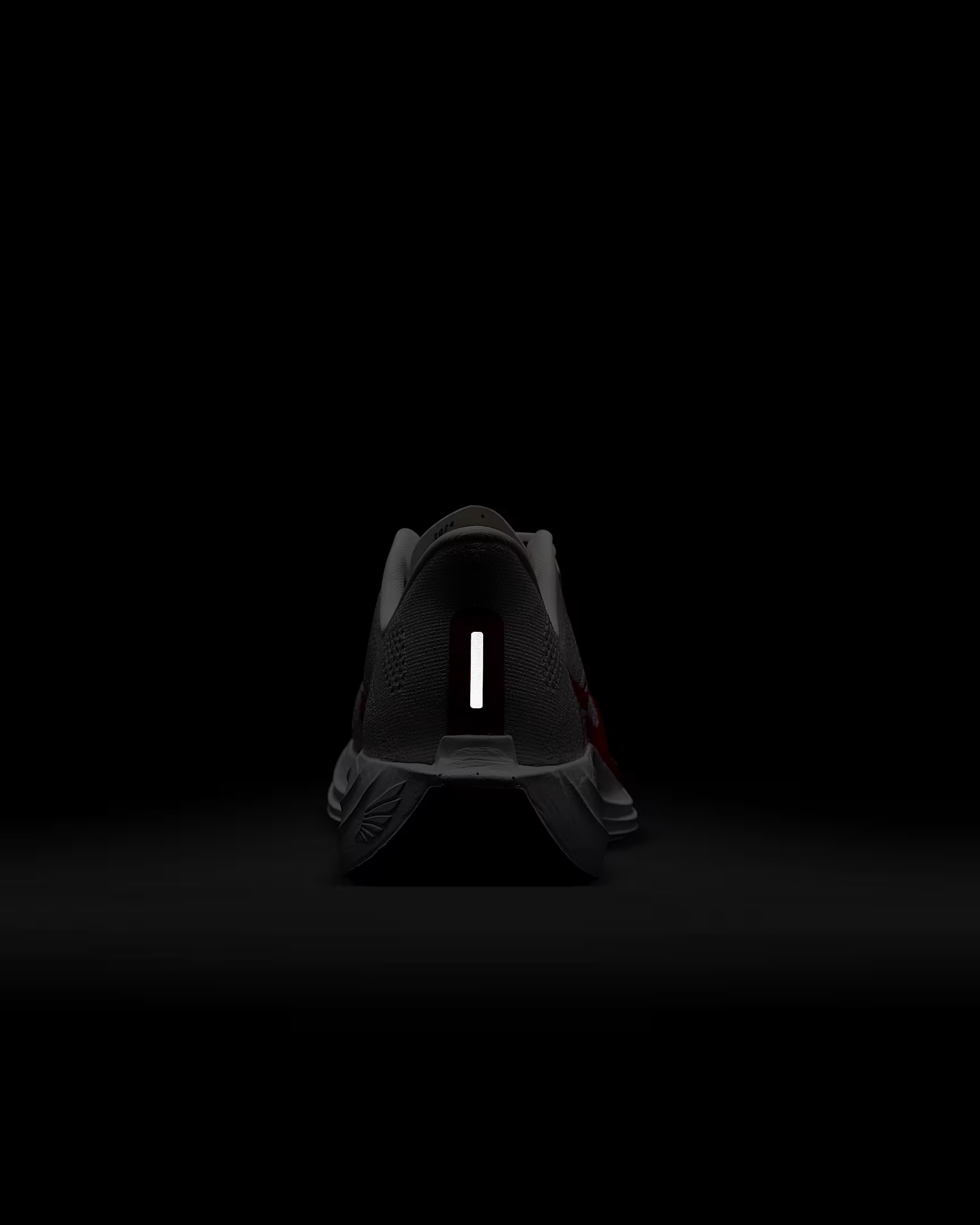 Nike Pegasus Plus - Image 10