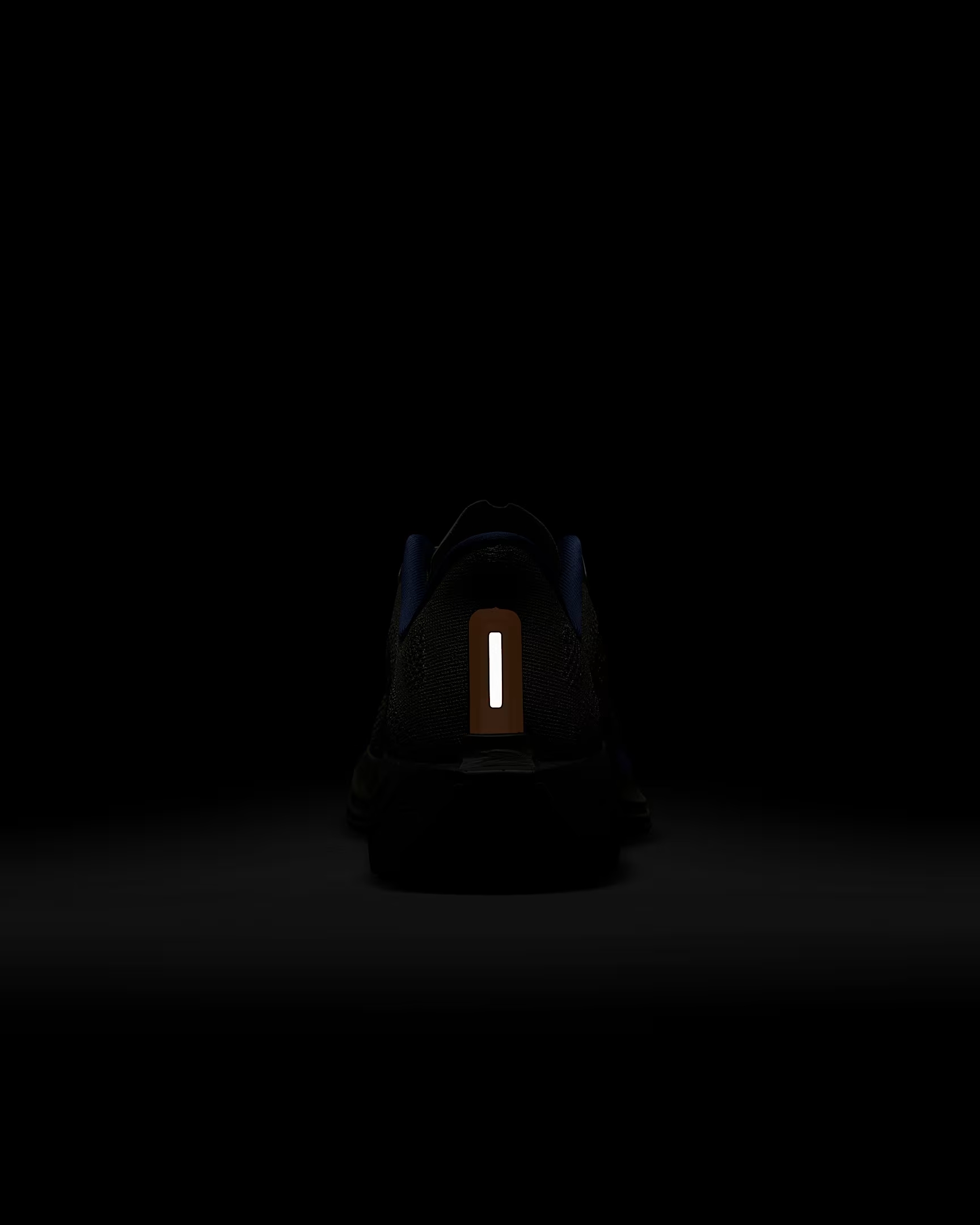 Nike Pegasus Plus - Image 10