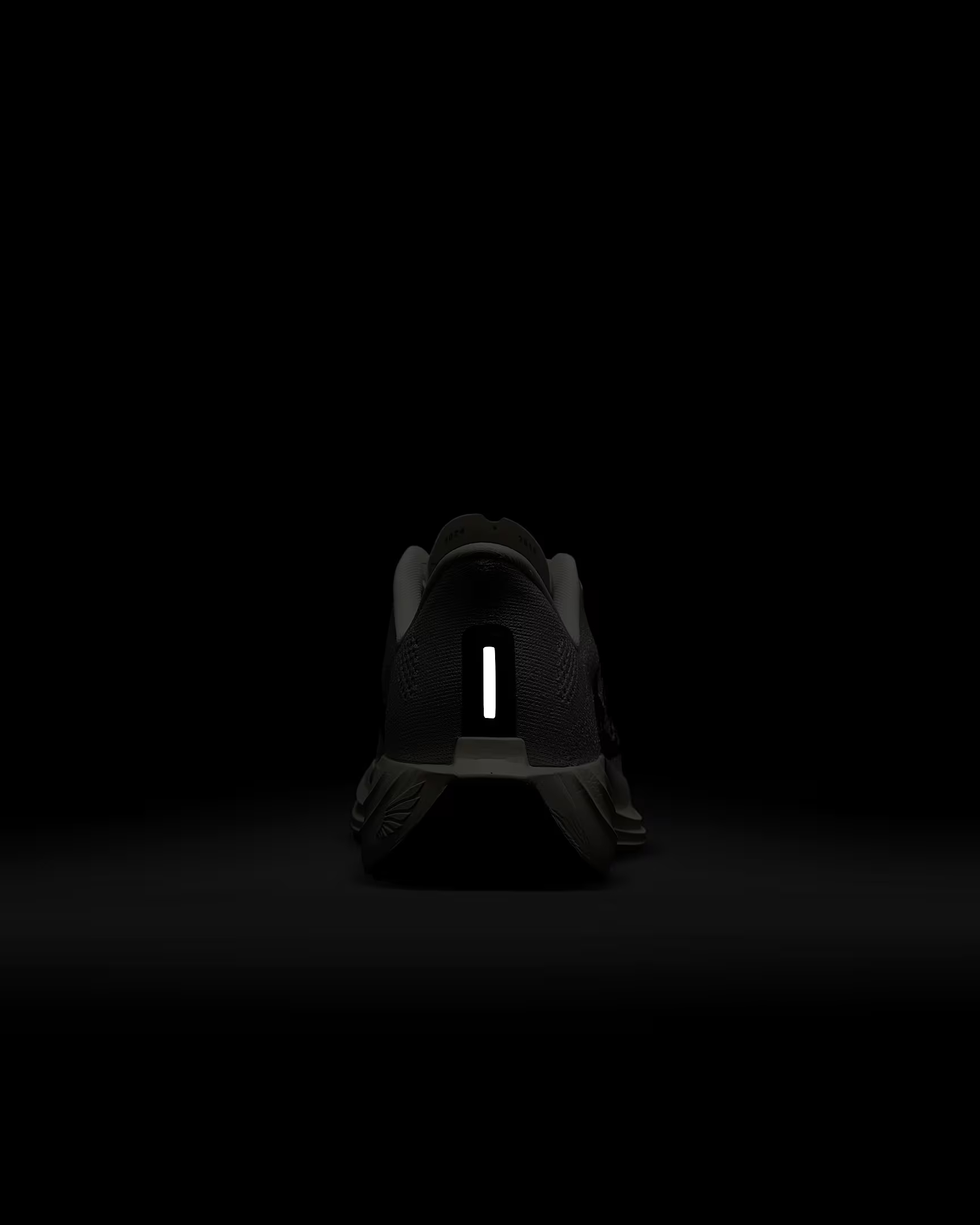 Nike Pegasus Plus - Image 8